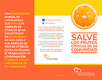 Tri-Fold Brochure: Spanish