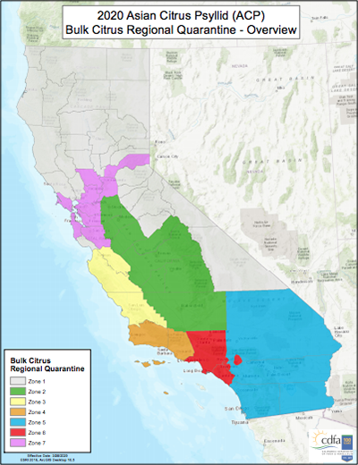 Updated Regulations on Bulk Citrus Movement into the HLB Quarantine Area